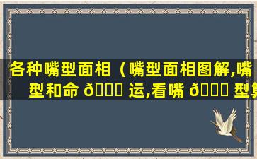 各种嘴型面相（嘴型面相图解,嘴型和命 🐋 运,看嘴 🐈 型算命）